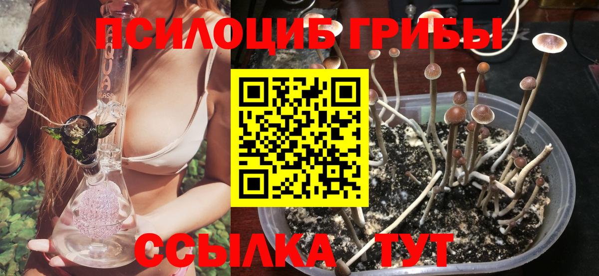 Дубна  Галлюциногенные грибы мухоморы  Вход с VPN 